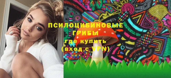 PSILOCYBIN Верхнеуральск