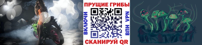 Галлюциногенные грибы мухоморы  Купить где  Медногорск 